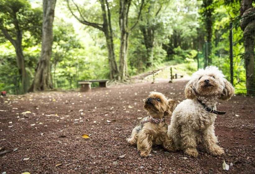 בית מלון כפרי Shikino Kura