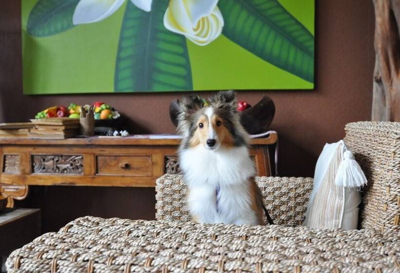 בית מלון כפרי Shikino Kura