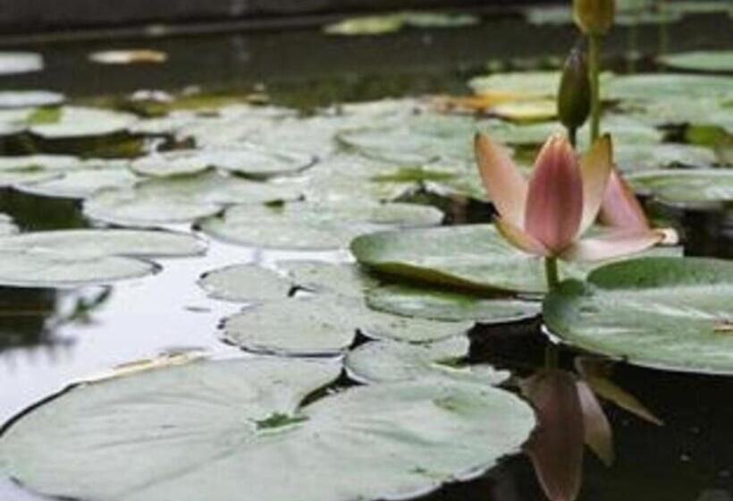 בית מלון כפרי Shikino Kura