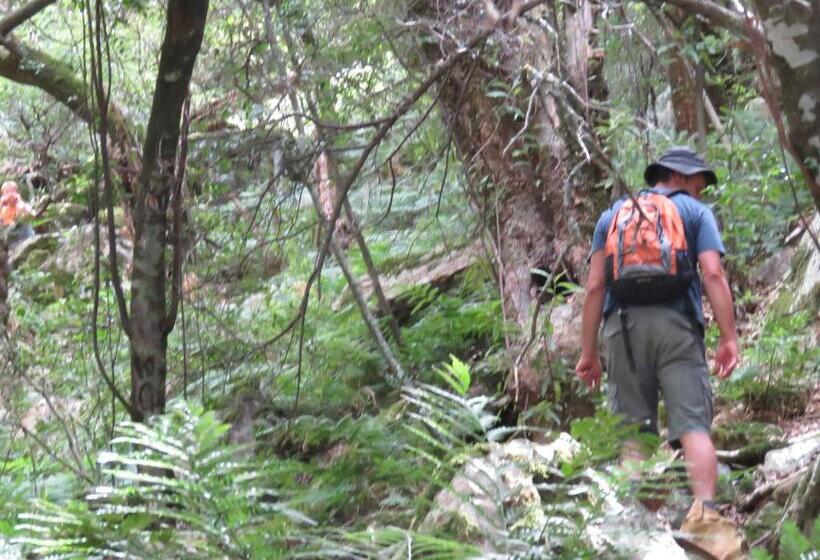 הוסטל Swartberg Backpackers