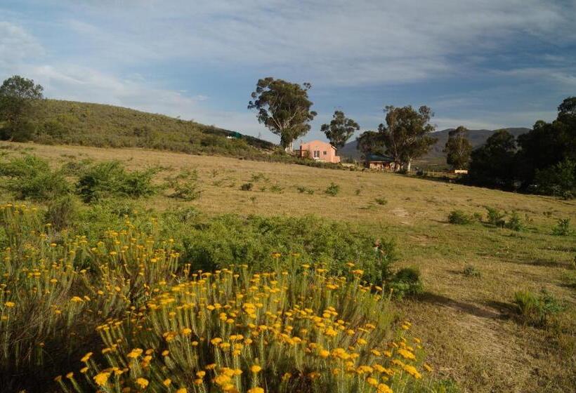 הוסטל Swartberg Backpackers