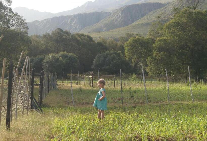 הוסטל Swartberg Backpackers