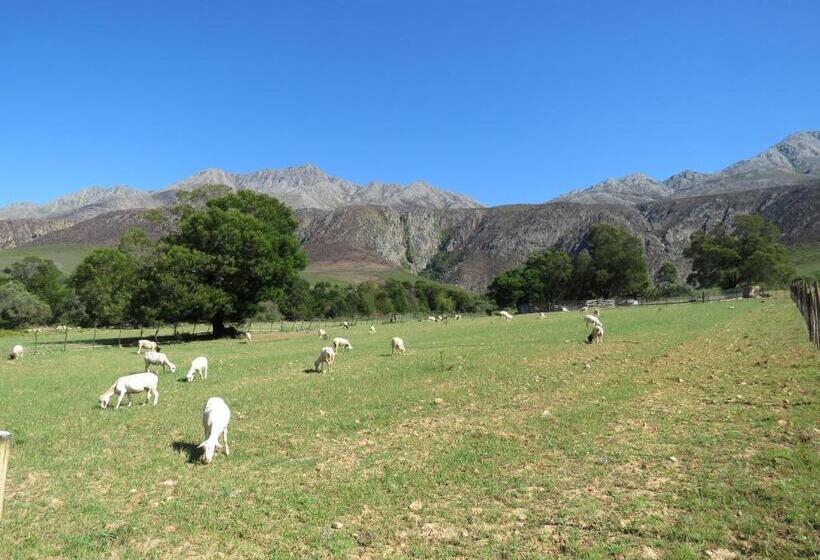 הוסטל Swartberg Backpackers