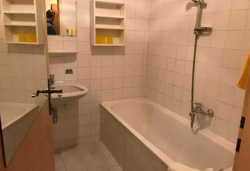 هتل Lehenerhof