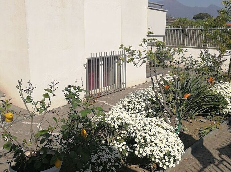 住宿加早餐  Area Domus