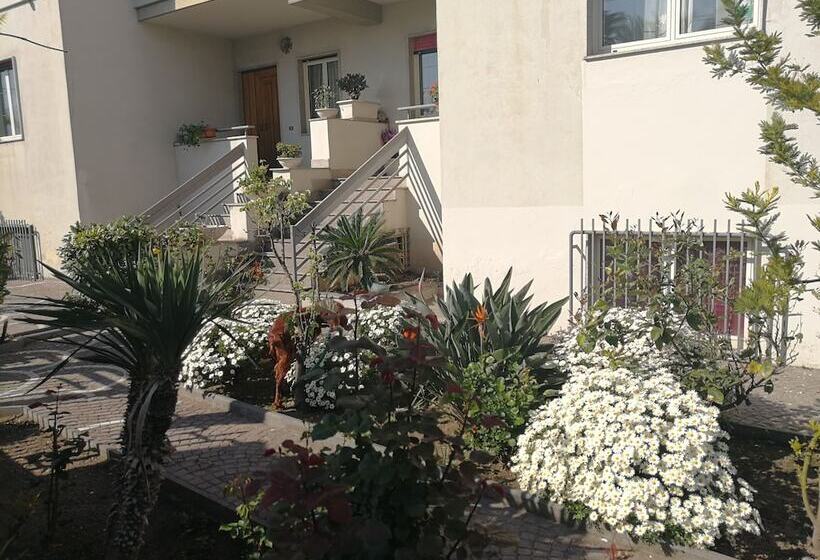 住宿加早餐  Area Domus