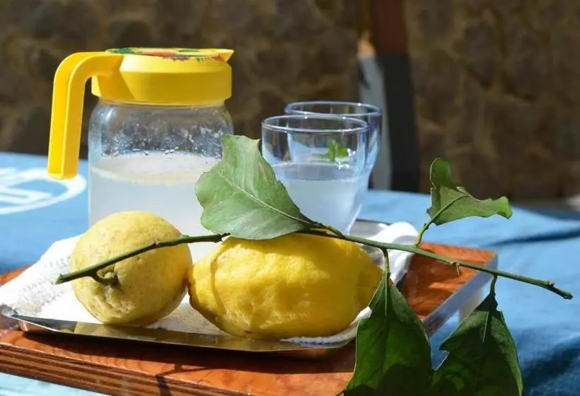 تختخواب و صبحانه Villa La Zagara