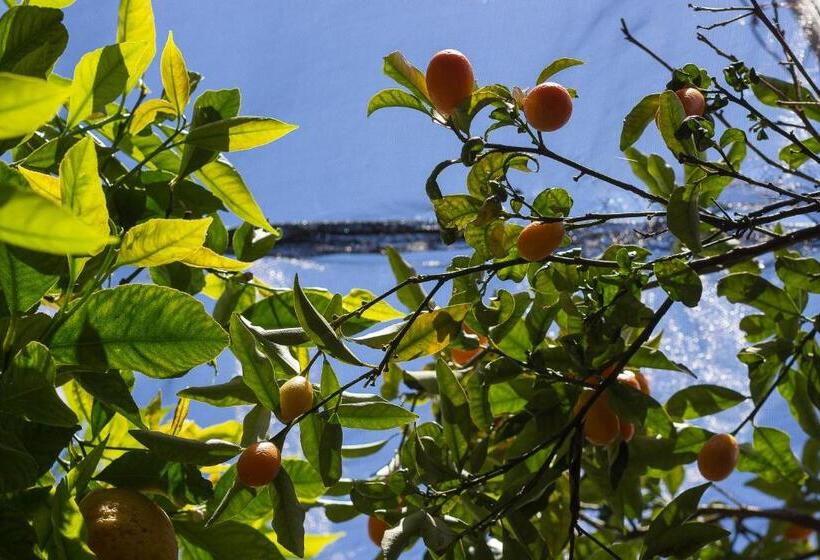 Nocleg ze śniadaniem Villa La Zagara