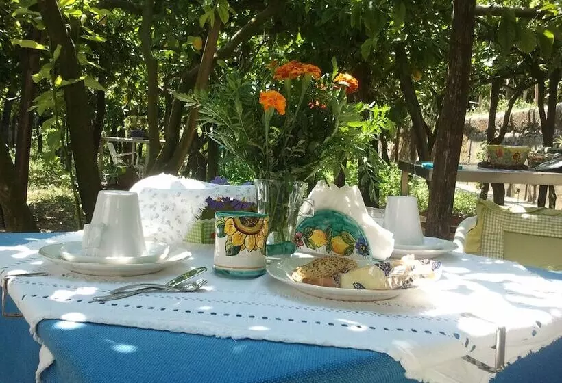 تختخواب و صبحانه Villa La Zagara