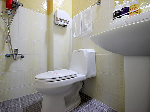 בית מלון כפרי Brown