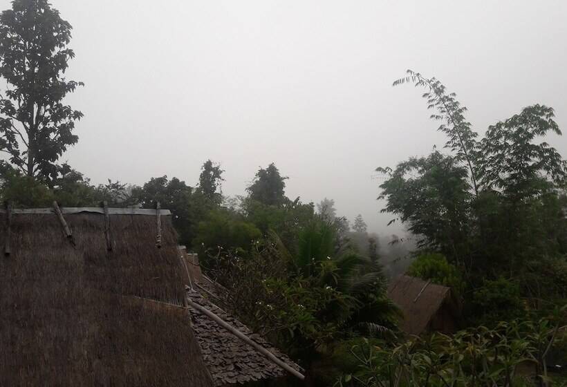 酒店 Nusha Homestay