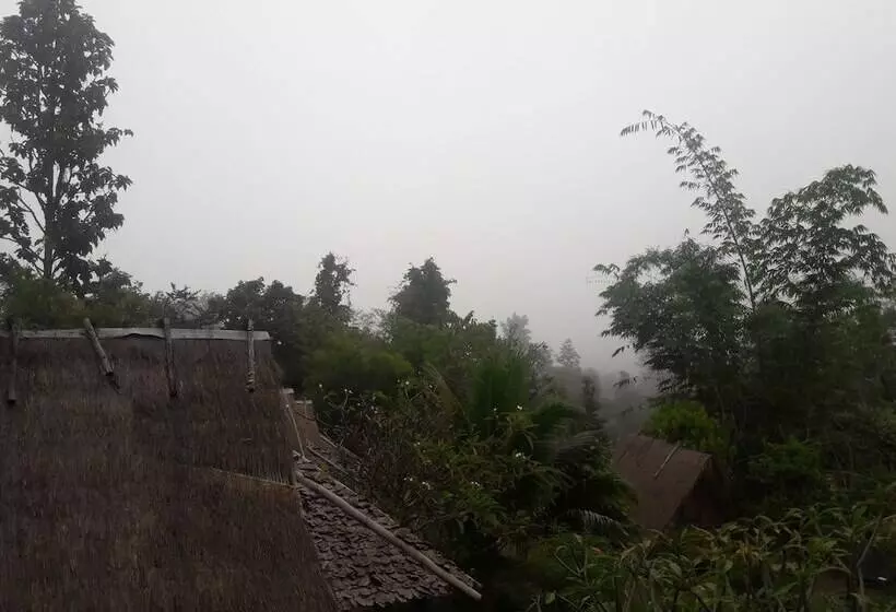 Hotelli Nusha Homestay