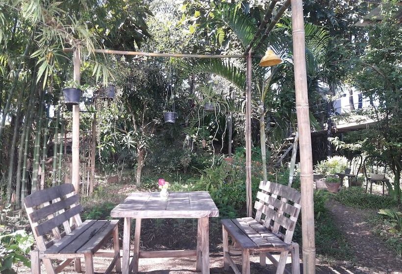 酒店 Nusha Homestay