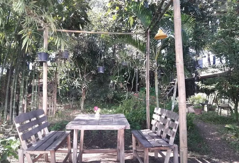 Hotelli Nusha Homestay