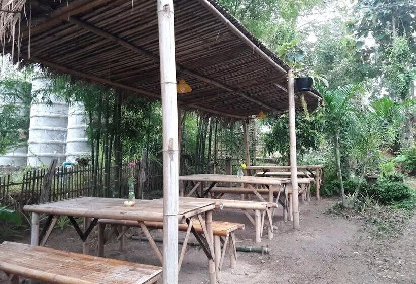Hotelli Nusha Homestay