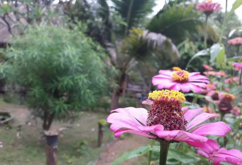 Hotelli Nusha Homestay