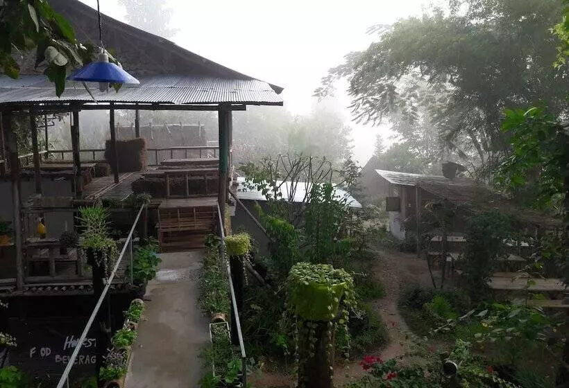 Hotelli Nusha Homestay