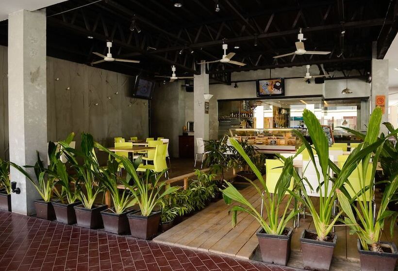 בית מלון כפרי Sun City Suites