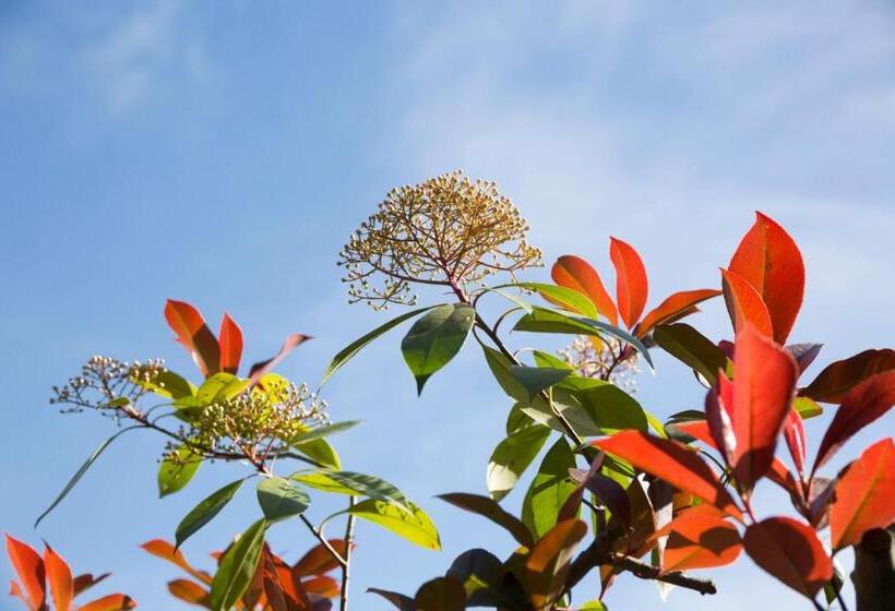 호텔 Villa Sestilia Guest House