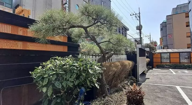ホテル Yangsan Show