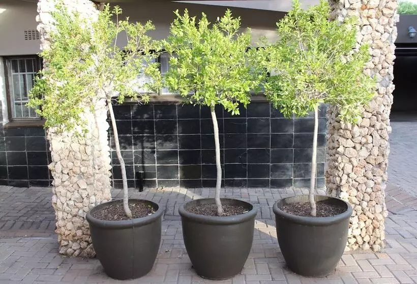 Majatalo Cottonwood Guesthouse