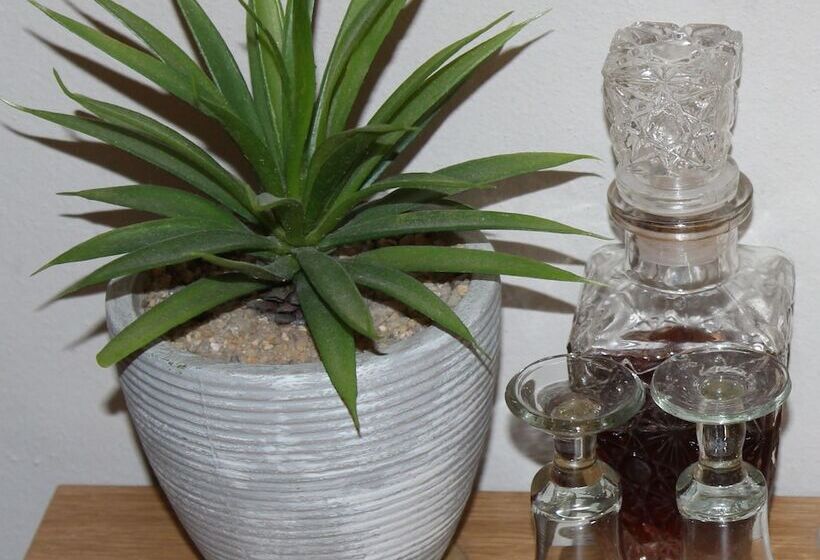 膳宿费 Cottonwood Guesthouse