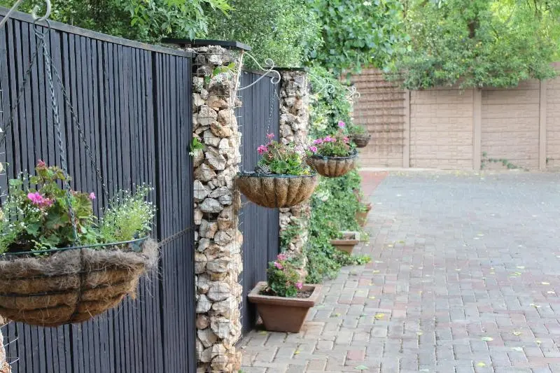 Majatalo Cottonwood Guesthouse