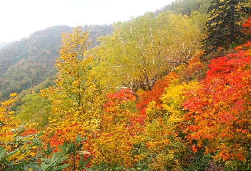 Pension Lamp Nojiriko