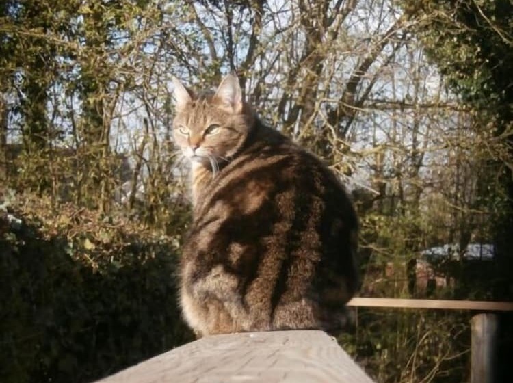 مبيت وإفطار L Ermite