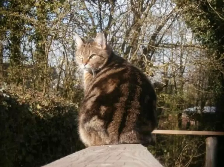 Aamiaismajoitus (B&B) L Ermite