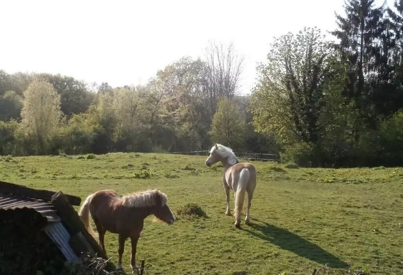 Aamiaismajoitus (B&B) L Ermite