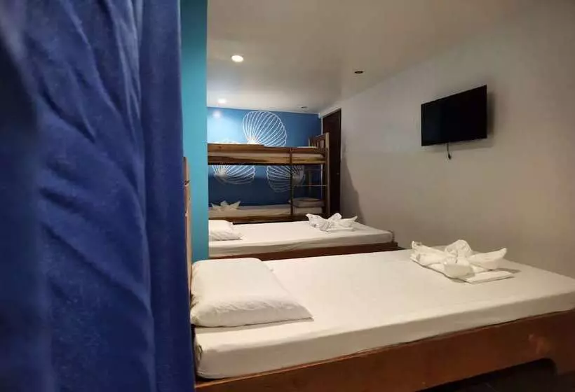 Amos Pili Tree Inn Powered By Cocotel