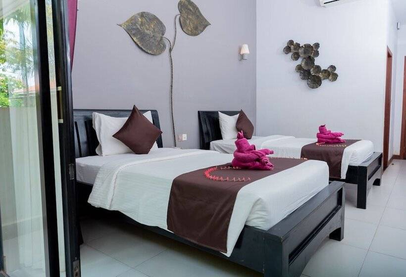 בית מלון כפרי New Riverside