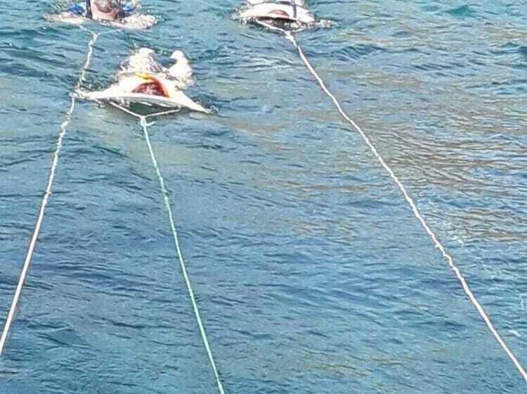 여관 Pousada Casa Haoli