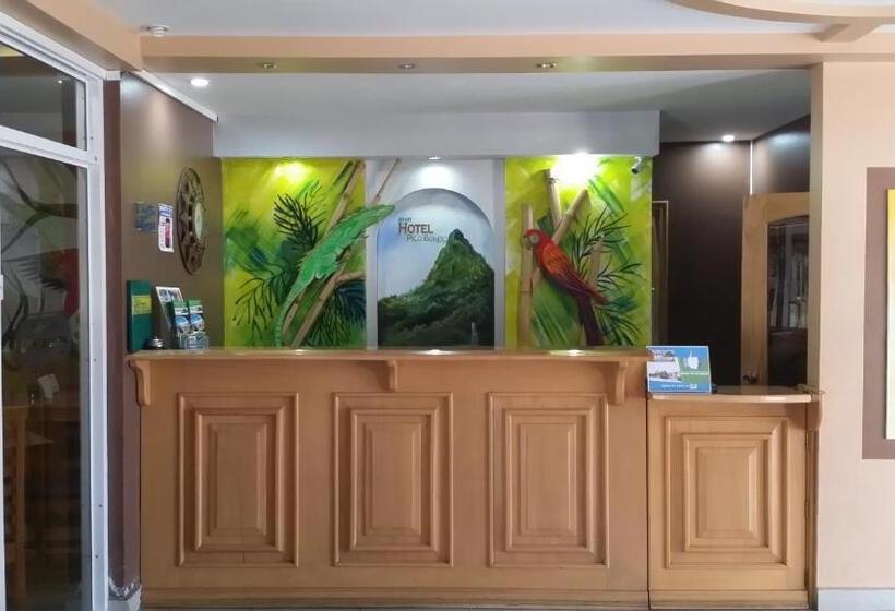 Apart Hotel Pico Bonito