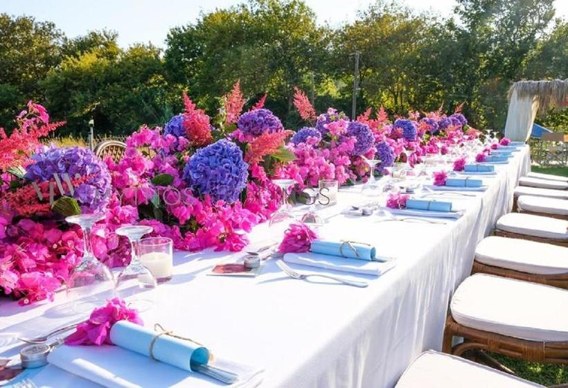 Dreams Beach Apartments Katelios