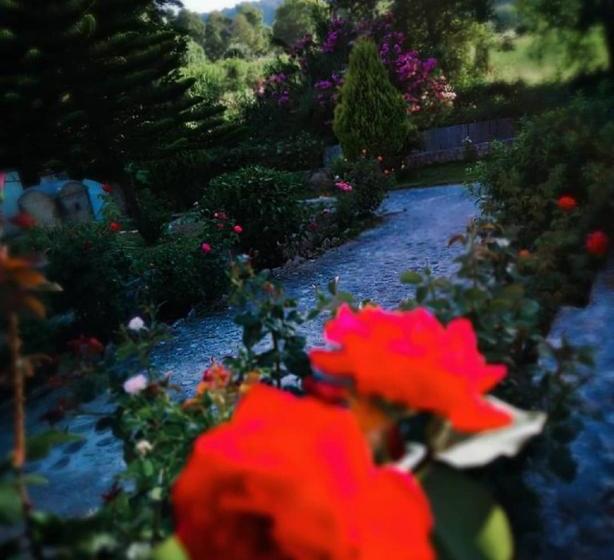 Dreams Beach Apartments Katelios