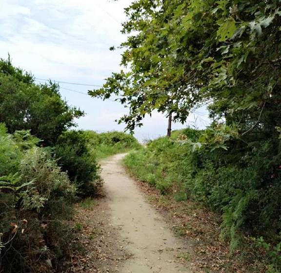 Dreams Beach Apartments Katelios