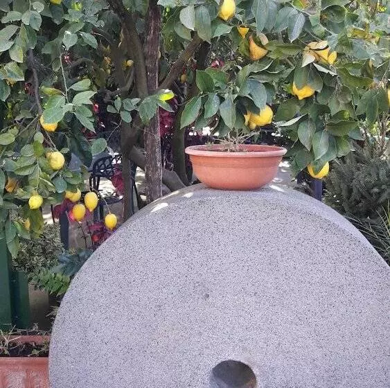 ホテル Agriturismo La Lobra