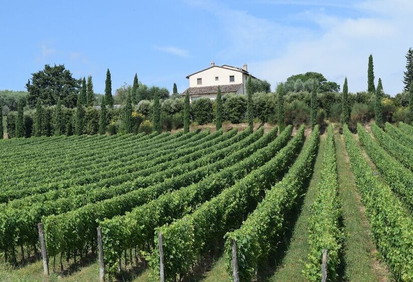 酒店 Le Buche Wine Resort & Spa