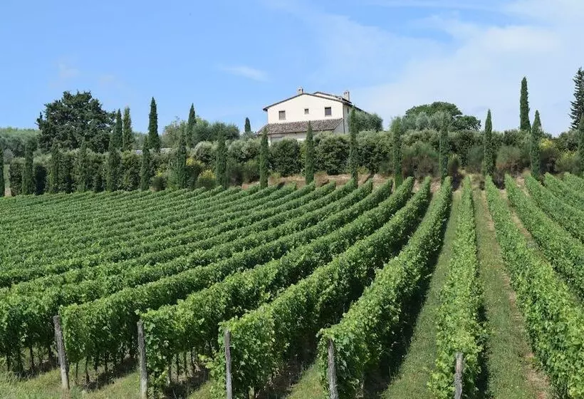 ホテル Le Buche Wine Resort & Spa