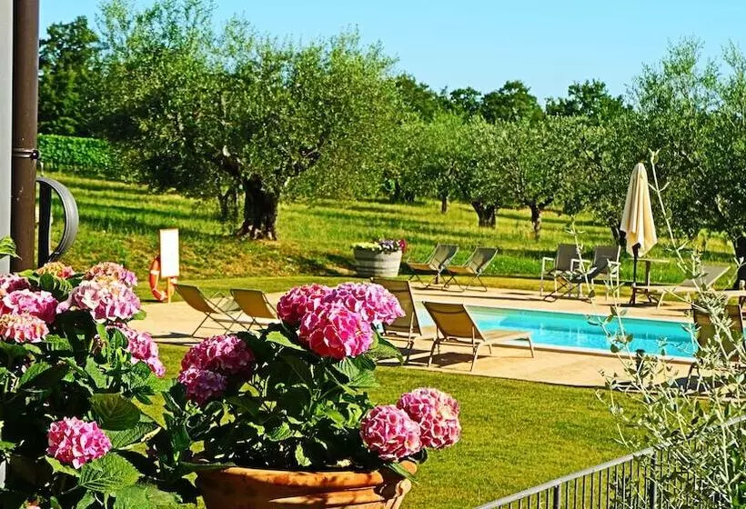 ホテル Le Buche Wine Resort & Spa