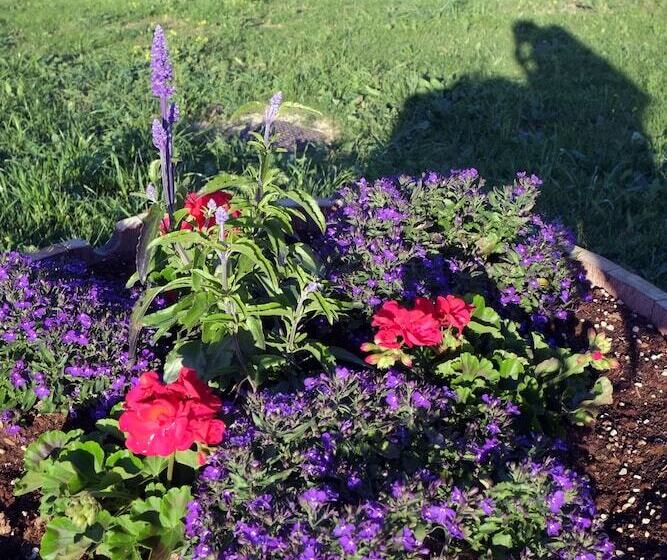 酒店 Le Buche Wine Resort & Spa