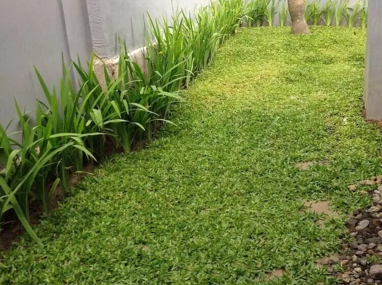 هتل Safa Homestay