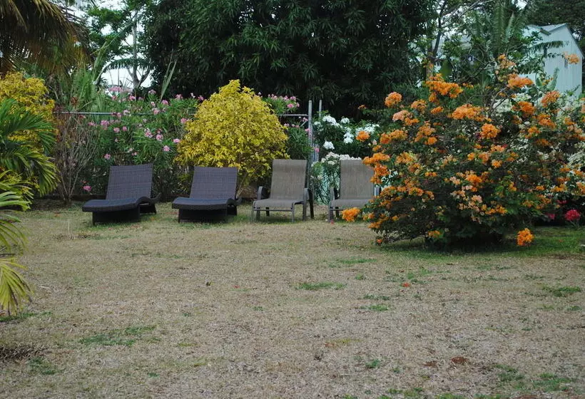 Kimo's Place