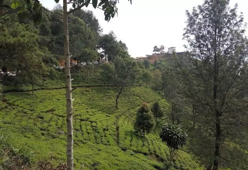 Villa Sophia Cimacan Puncak