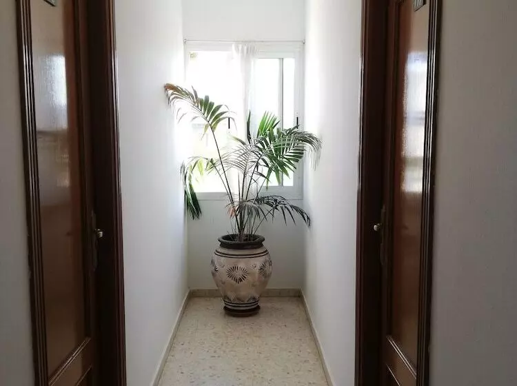 هاستل 24h Hostal Antequera