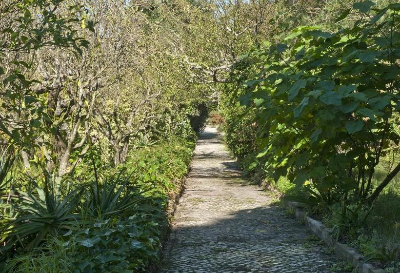 Bed and Breakfast Quinta De Paioes