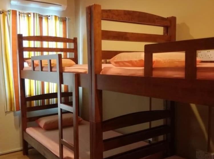 Harbourside Backpackers  Hostel