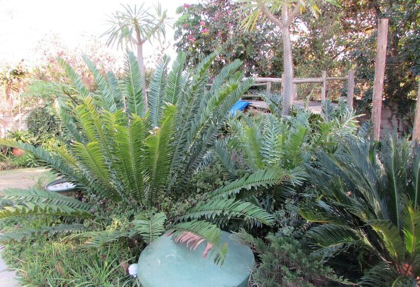 Matt S Rest B&b And Self Catering